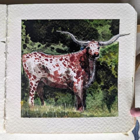 Watercolor sketch of a white bull with long horns and red spots standing against a green background
