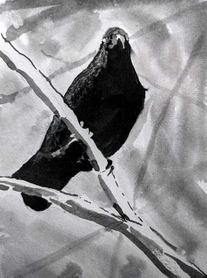 An ink drawing of a crow perched on a branch, against a gray background.
