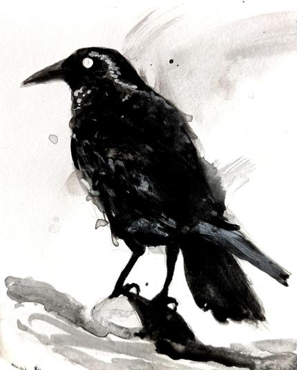 An ink drawing of a crow on a rock. The crows back is turned, but it's still looking at the viewer.