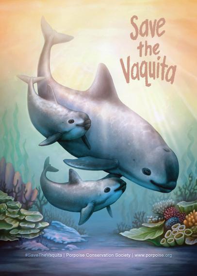 A painting of 3 Vaquitas swimming underwater among some corals and underwater plant life. 

This painting was made for Save the Vaquita Week 2026 in hopes of raising funds and awareness to help the vaquita come back from possible extinction. 

Save the Vaquita Postcard Print is a limited run of 100 signed 5x7 inch postcard prints, on premium cardstock, and will be signed and numbered on the back.

This hand painted original postcard print is a little token and a reminder that you made a difference in helping the Vaquita. All funds will be donated directly to porpoise.org for Save the Vaquita Week!
