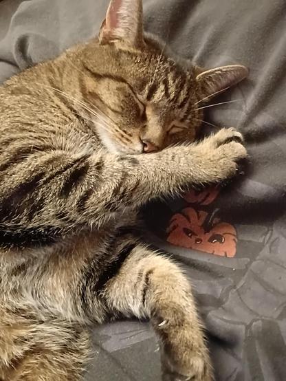 A sleeping tabby cat, mostly on her back, with one paw outstretched and the other crossed over to lay on my chest.