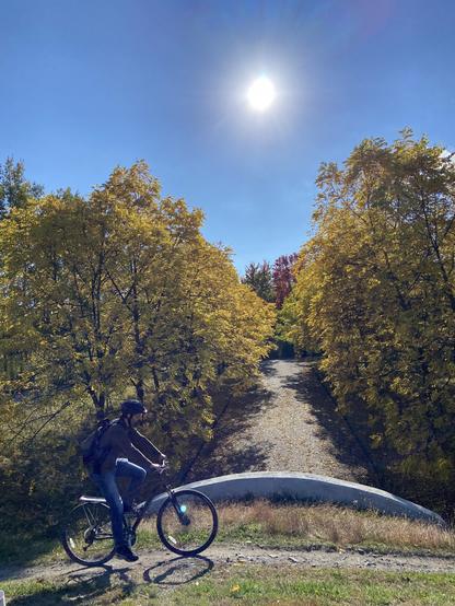 A person on a bicycle is passing in front of us from left to right, over a little overpass, under which a path appears below and ahead, lined with trees turning yellow. The sun is bright overhead in a clear blue sky.