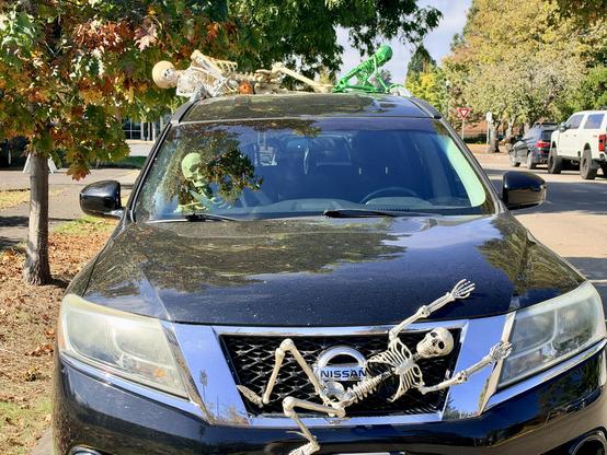 Looking into a car from the front bumper. On the front bumper is a skeleton, as if struck by the car, its arms upraised. On the roof is a white AND a green skeleton, and in the passenger seat is yet another.