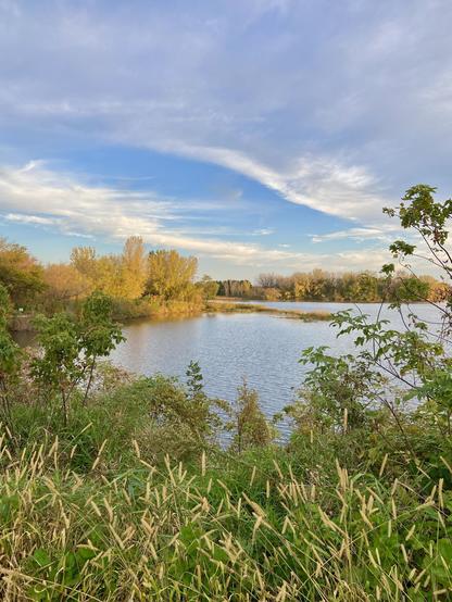A vertical landscape photograph of a calm lake surrounded by autumn-colored trees under a blue sky with wispy clouds. In the foreground, tall, yellowish-green grasses and various green plants grow along the edge of the water.