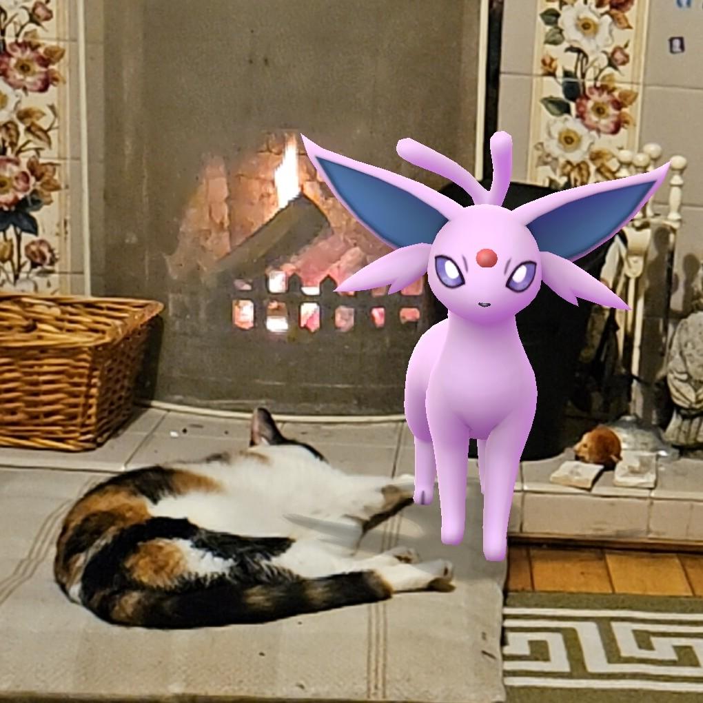 The pinky purple Espeon Pokémon standing next to our dozing torty cat in front of the fire.