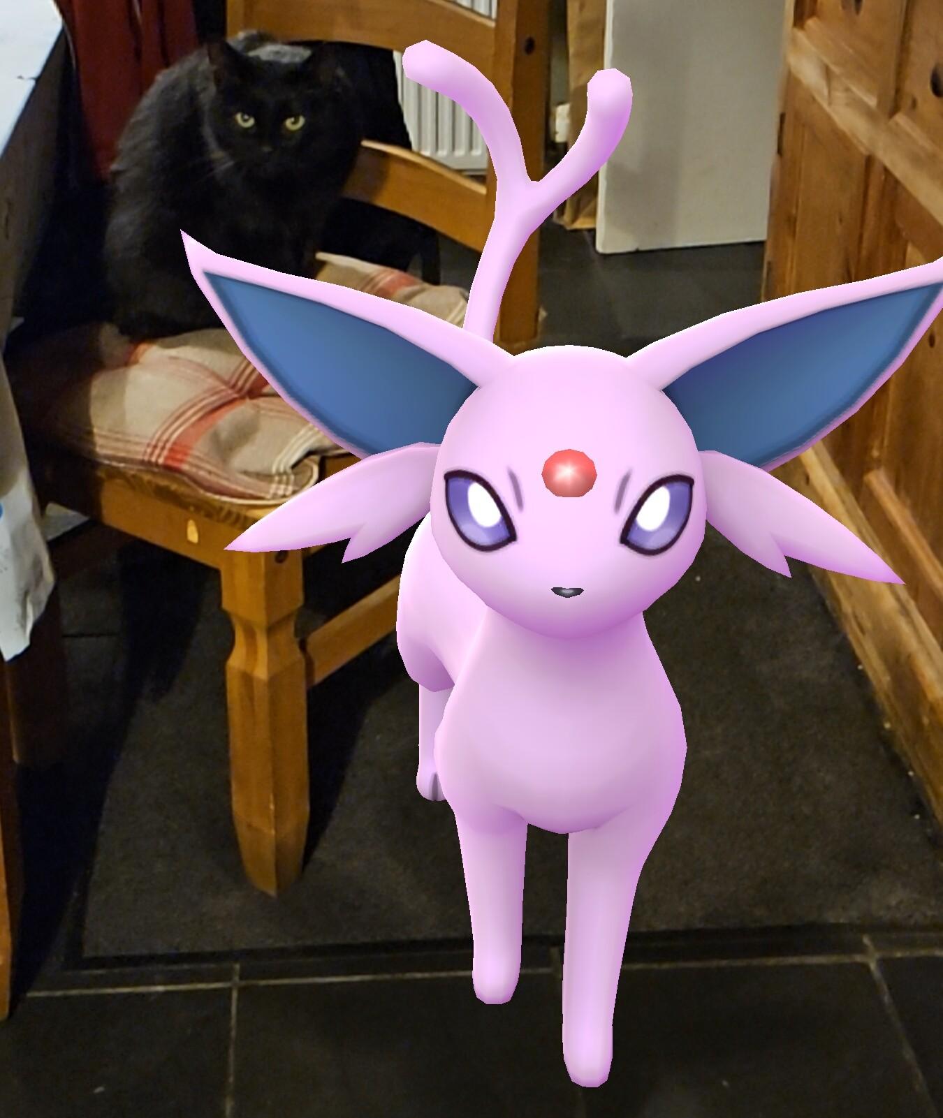 The pinky purple Espeon Pokémon standing in front of our black cat who is sat on a chair, a look of total uncertainty on his face. Espeon is much larger than him.