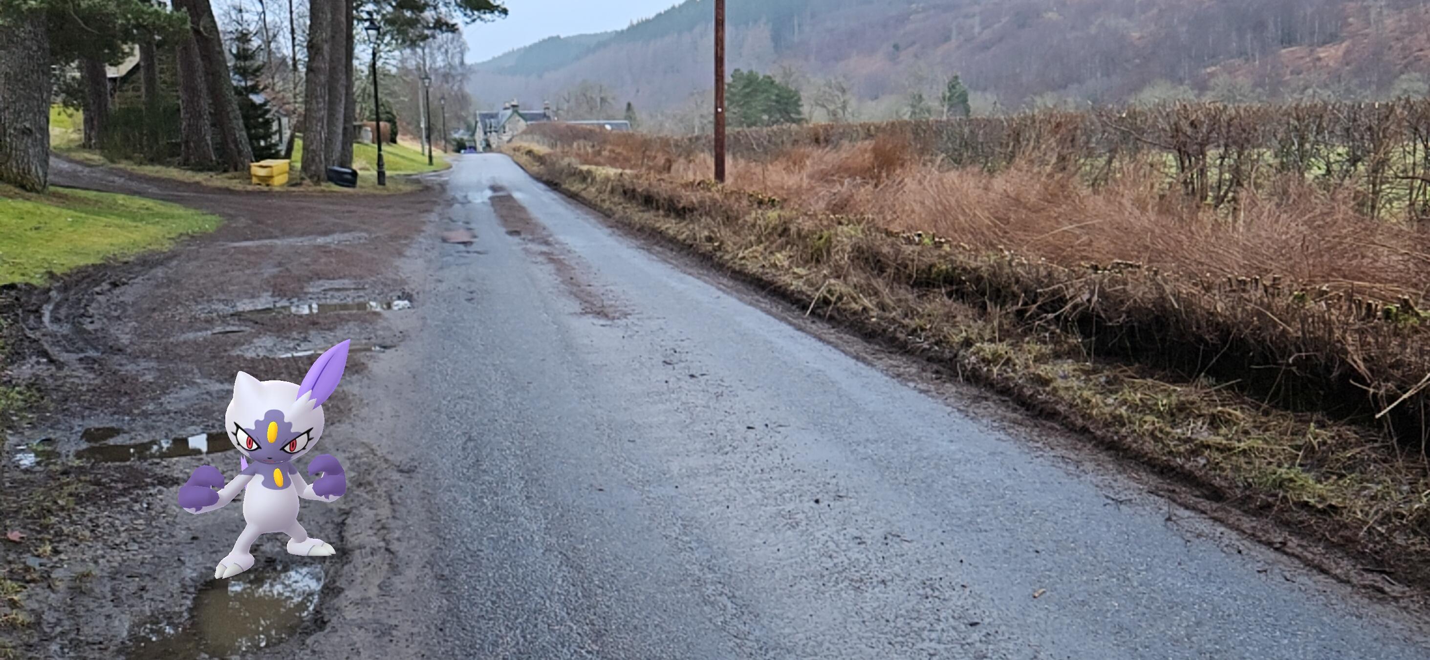 The white and purple Sneasel pokemon stood on the side of a real road in a photo of mine. The weather is really grey, the road is muddy, the hills hazy with drizzle. It was wet.