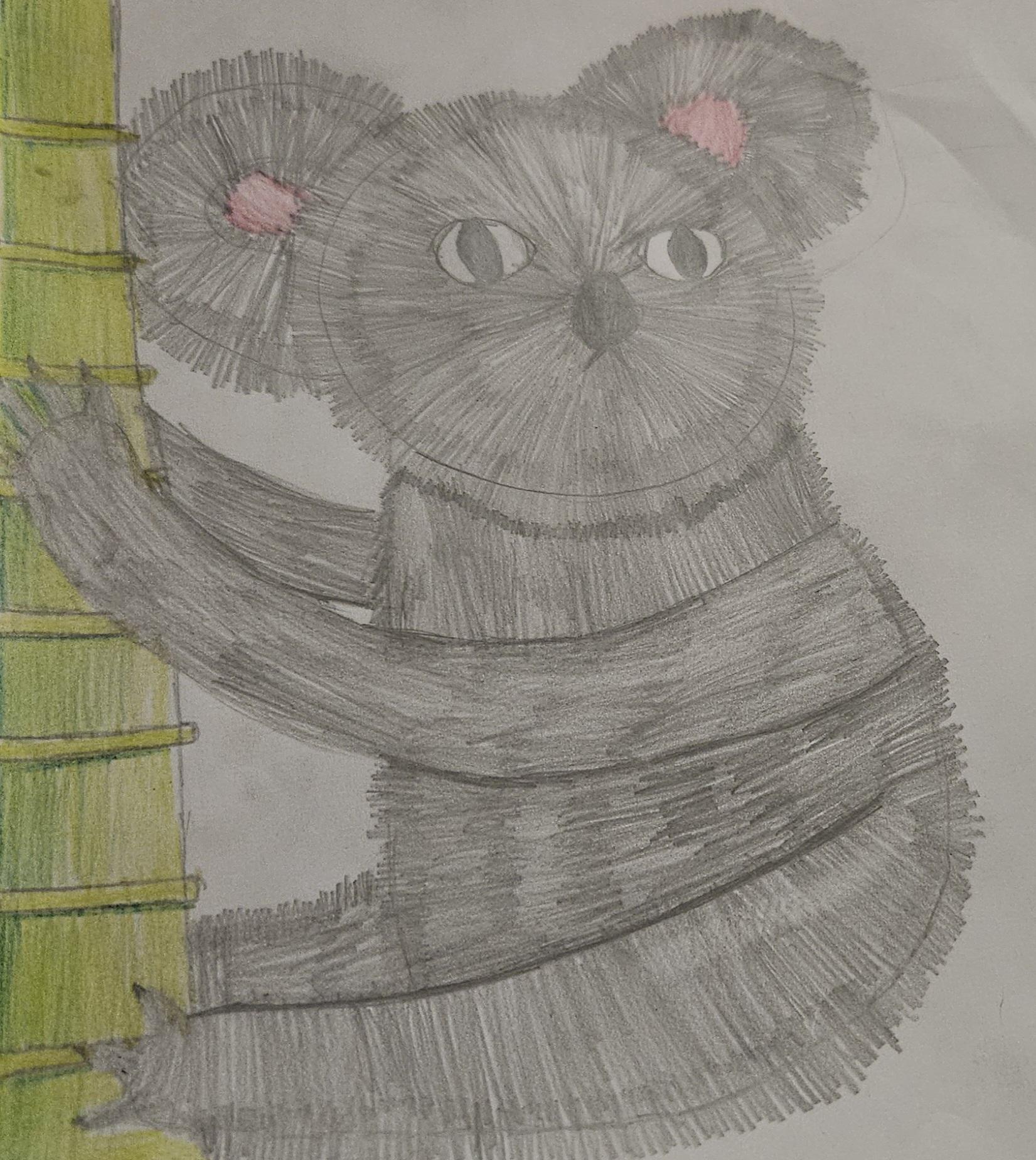 A hand drawn koala, with loads of lines to insert fur. It is clinging to the largest piece of bamboo in history.  If this were a photo, the koala would be staring at something far behind your right shoulder.