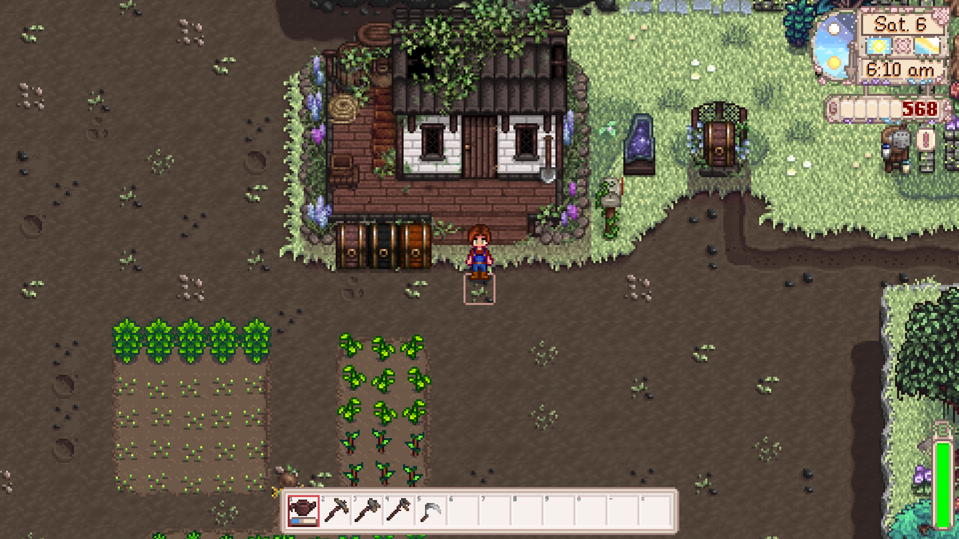 A screenshot from the game Stardew Valley. A white house covered in vines is at the back of the image, surrounded by a deep brown dirt. Two plots of crops in various stages of growth are towards the front.