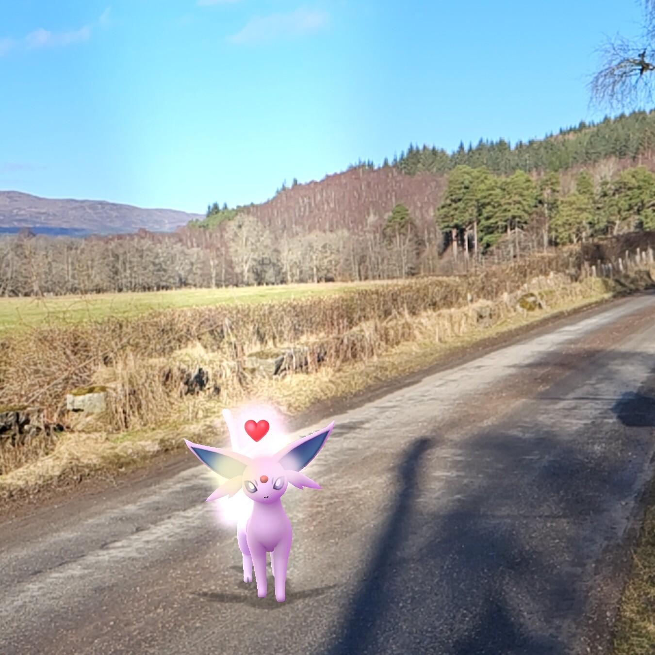 This is a square crop of the road-and-landscape shot from my previous post.

The difference is that, on the road, is an Espeon Pokémon, surrounded by a glowing white aura, and a small heart hovers just over his head.