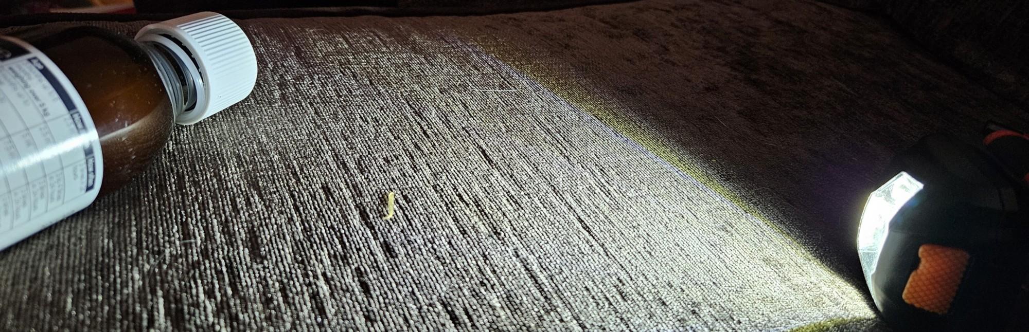 The bottom cushion of a sofa. On the left is a medicine bottle in its side. On the right, a fair distance away is an LED head-torch, shining towards the bottle.