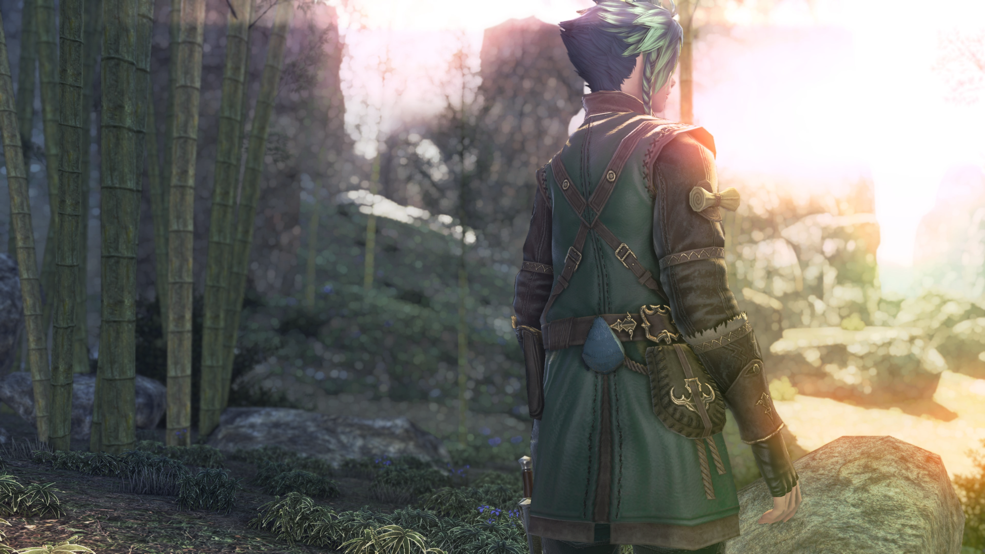 ffxiv gpose screenshot. xephre stands in a rocky, mountainous area near a bamboo copse. their back is turned to the viewer and they're looking to the right of the screen, where the sun is hitting some of the ground and rocks, while they and most of the rest of the image are in shadow.