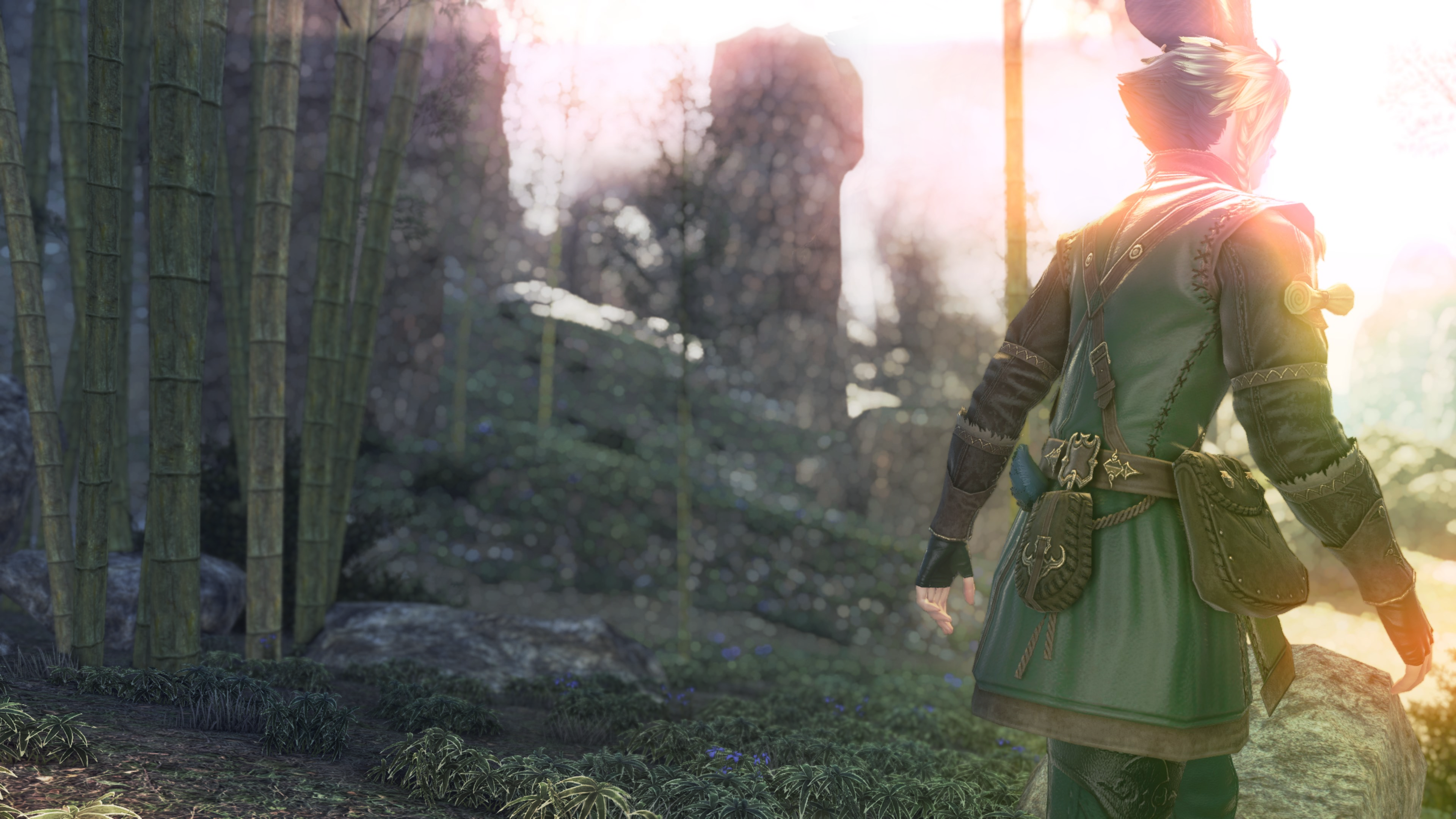 ffxiv gpose screenshot. same shot as before, but xephre is now striding toward the sunlight, away from the viewer.