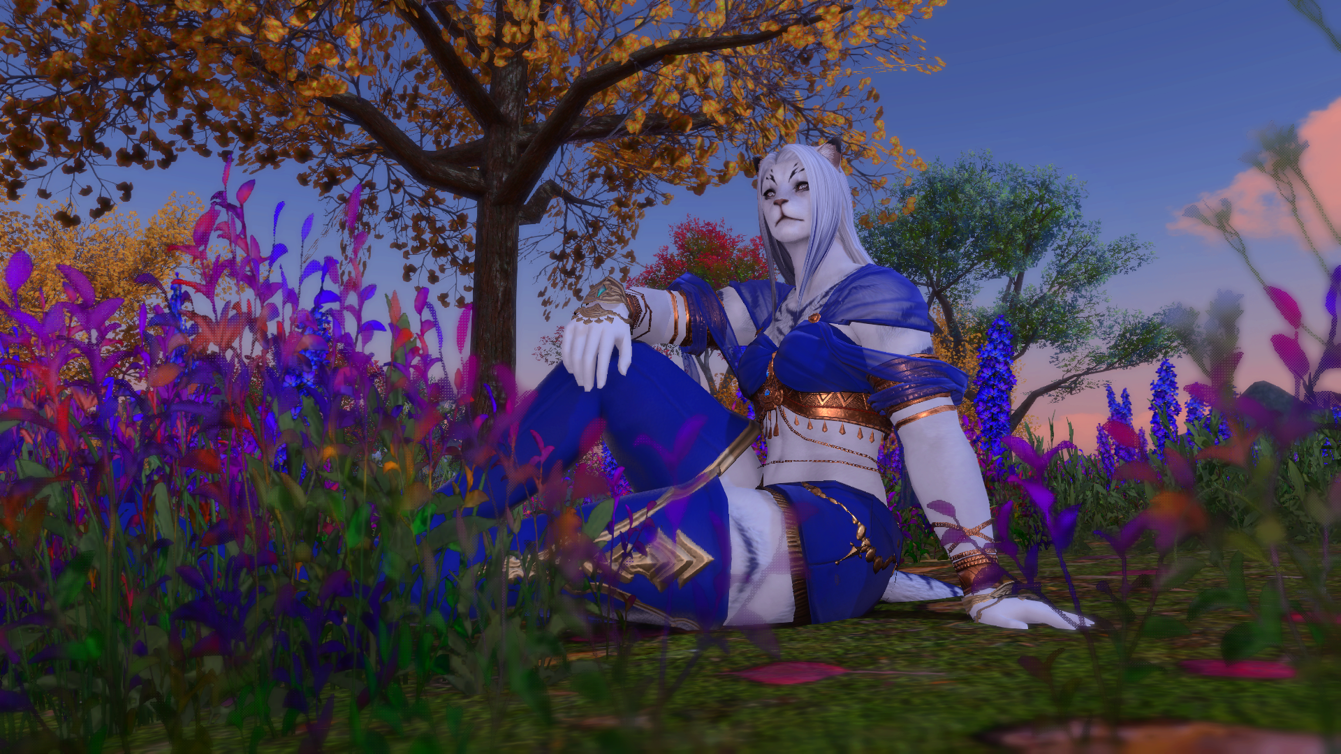 A screenshot from the critically acclaimed MMORPG "Final Fantasy XIV" featuring a female hrothgar character who looks like a white tiger, dressed in a blue two-piece outfit sitting among a field of colorful flowers at sunset.