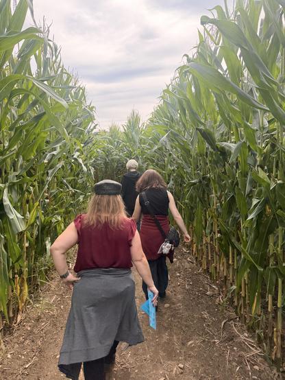 Posted media